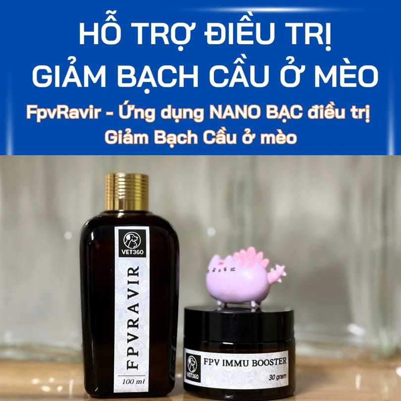 Thuốc hỗ trợ điều trị giảm bạch cầu ở mèo - FPV - Ứng dụng côn nghệ nano bạc