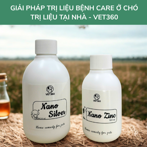 Giải pháp trị liệu Care ở chó tại nhà - Vet360